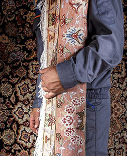 قالی لول در قالیشویی کرج
